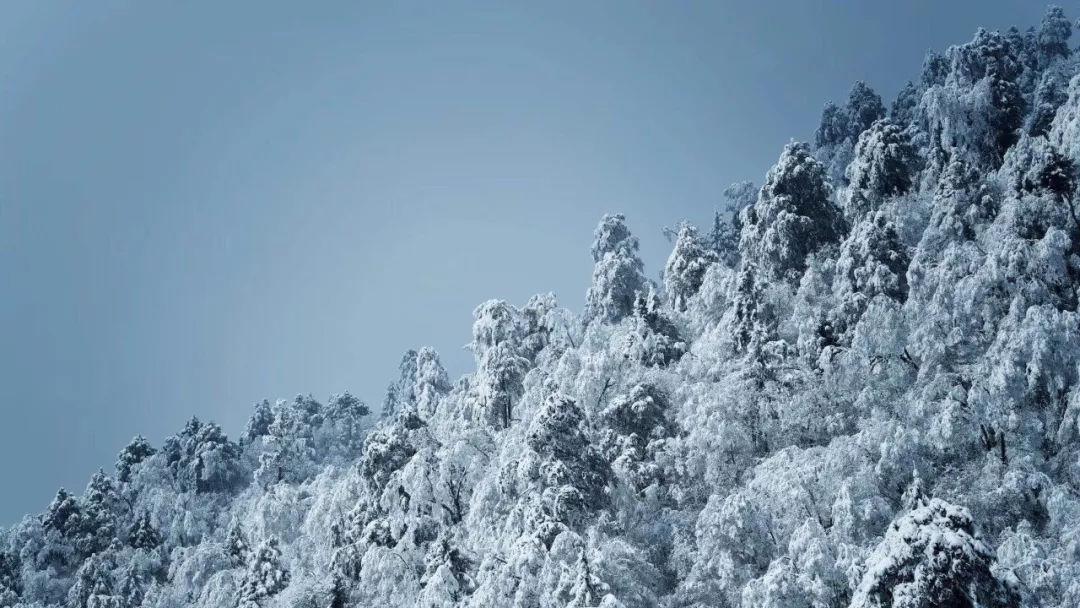 大疆发布首款智能修模软件:像修图一样简单修模